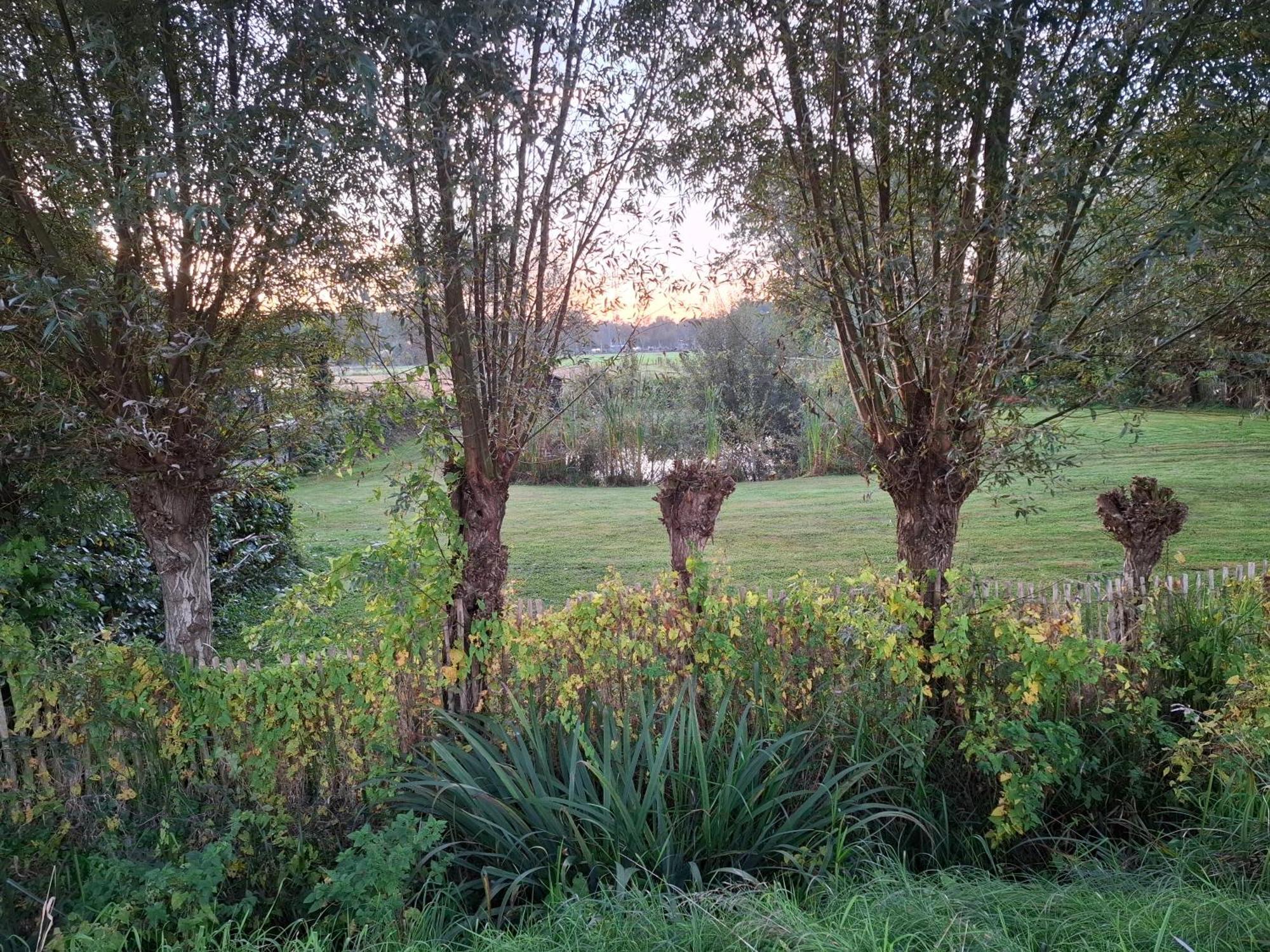 B & B De Pinguin Bergentheim Dış mekan fotoğraf